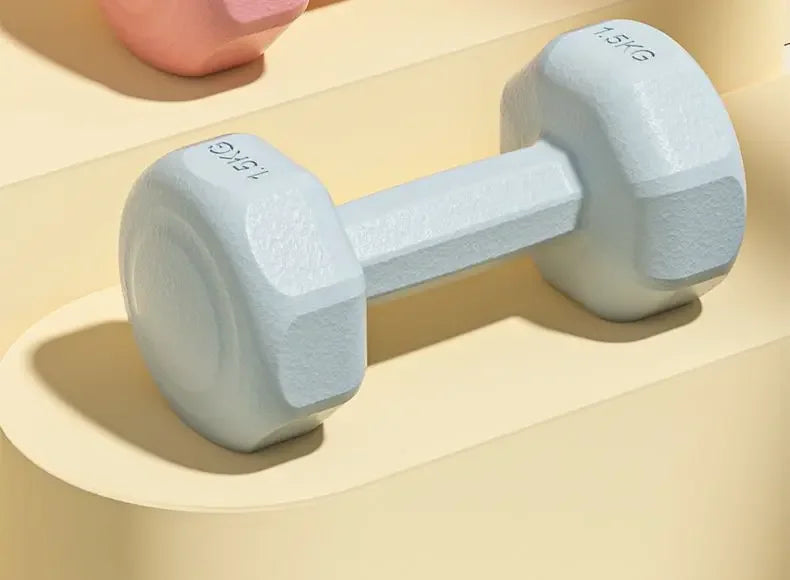 Dumbbells Fitness Home Equipment